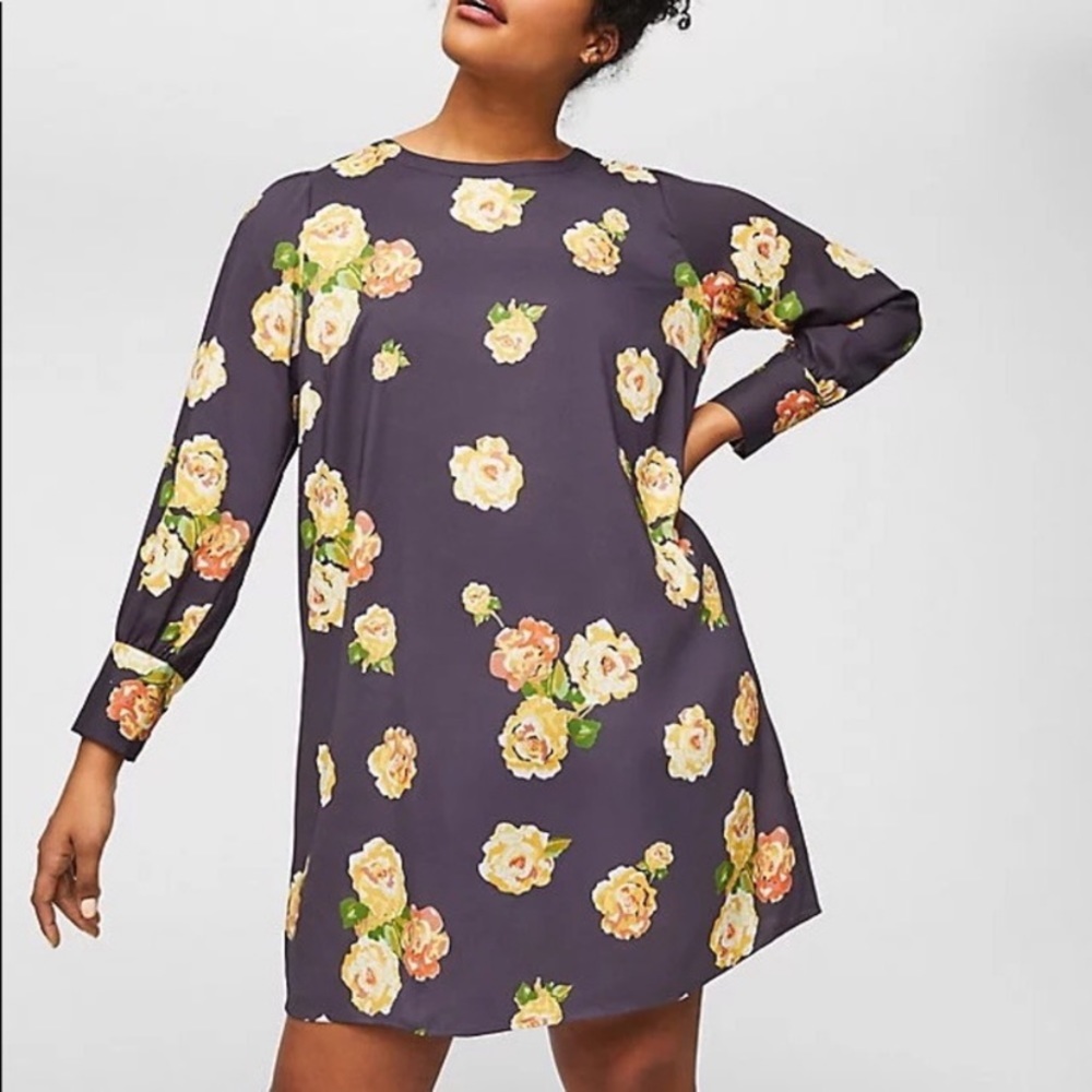 Loft Peony Fluid Shift Floral Dress Size XSP